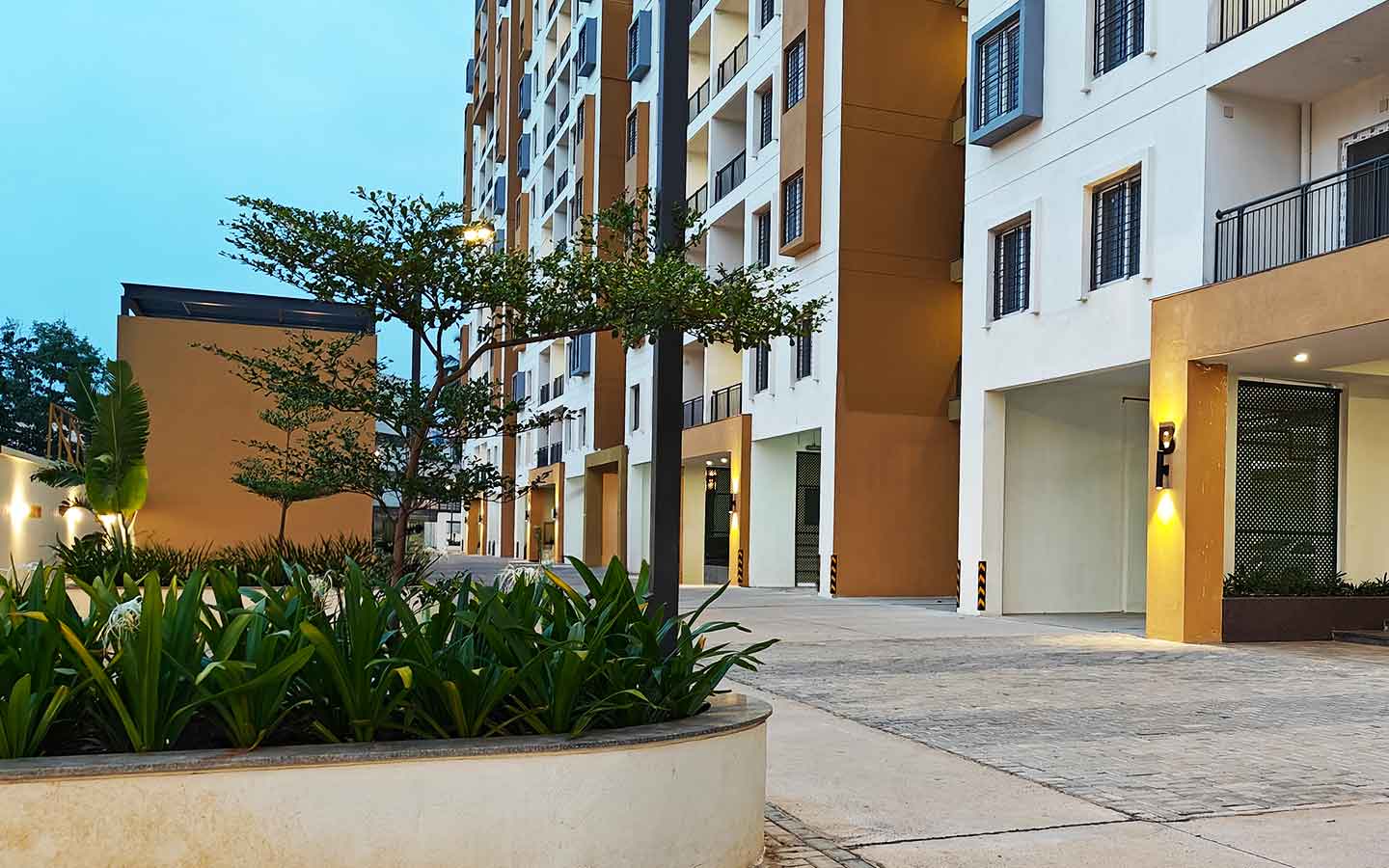Renaissance Reserva view 2