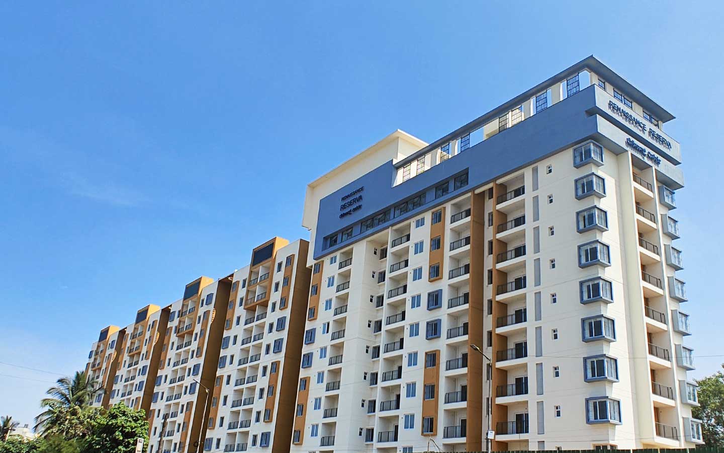 Renaissance Reserva view 4